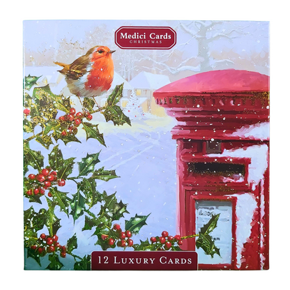 Box of 12 Medici Festive Winter Robin Christmas Cards In 3 Designs