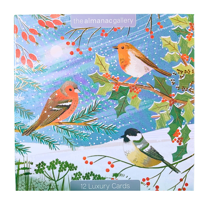 Box of 12 Almanac British Garden Birds Christmas Cards In 3 Designs