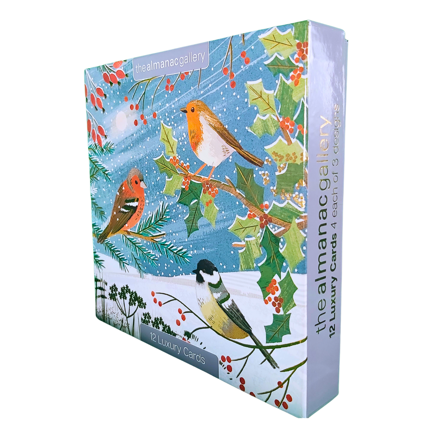 Box of 12 Almanac British Garden Birds Christmas Cards In 3 Designs