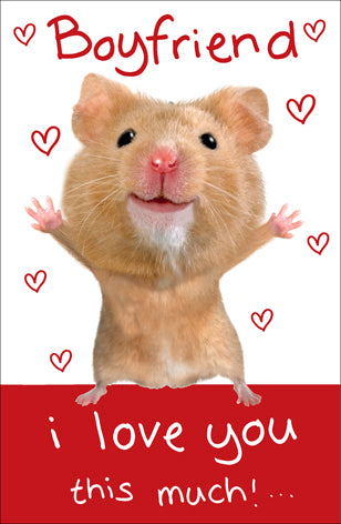 Boyfriend Hamster Wobbly Eyes Valentine's Day Card