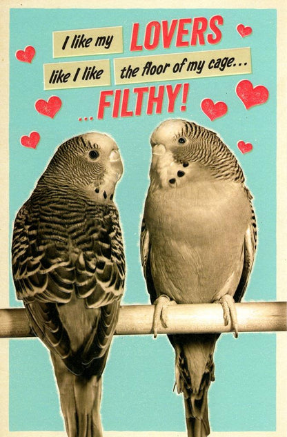 Funny Filthy Lovers Valentine's Day Greeting Card