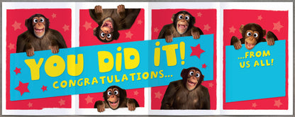 Congrats! From Us All!!! Chimps Funny Greeting Card