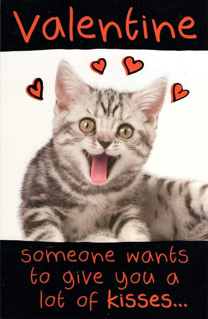 Funny Lots Of Kisses Kitten Valentine's Day Card