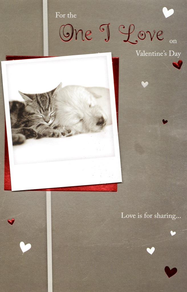 One I Love Kitten and Puppy Cute Valentine's Day Card