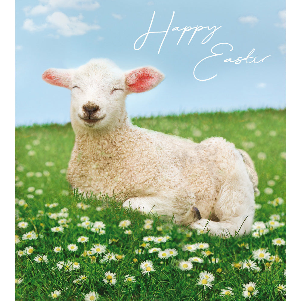 Pack of 5 Spring Lamb Happy Easter Greetings Cards