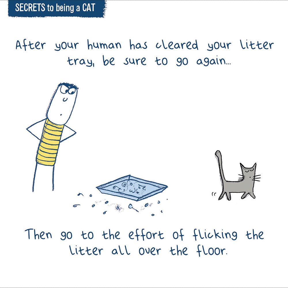 Secrets To Being A Cat Cleared  Litter Tray Greeting Card