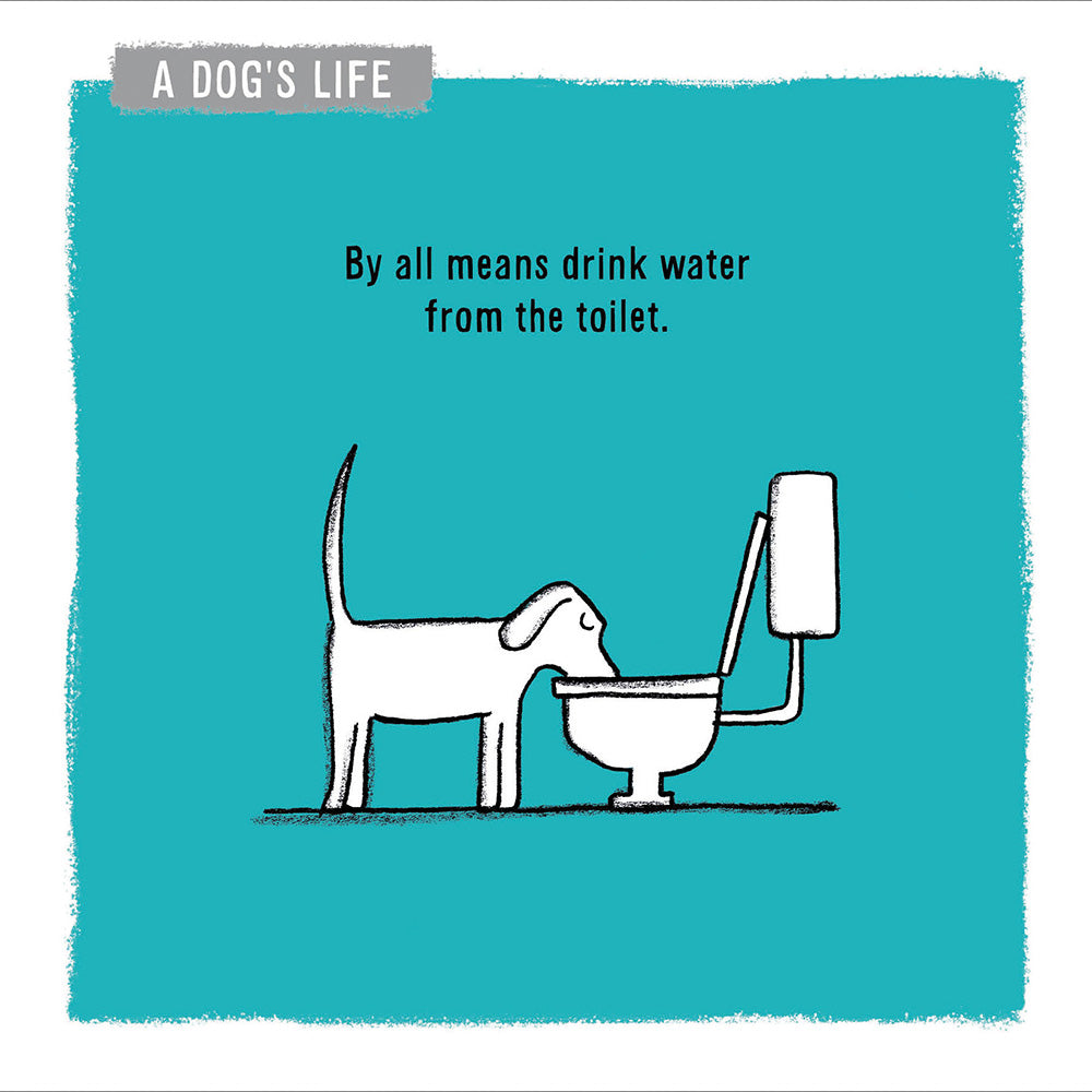 A Dog's Life Drink Water From The Toilet Greeting Card