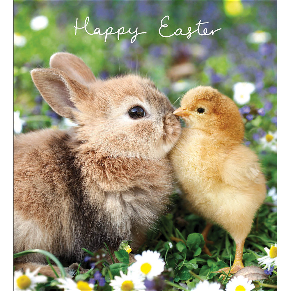 Pack of 5 Cute Bunny & Chick Easter Cards