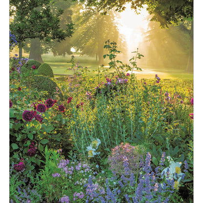 Pack Of 8 Blank Garden Photograph Luxury Notecards Cards