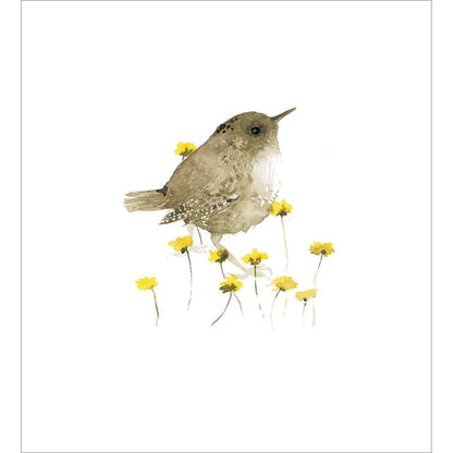 Pack Of 8 Blank Watercolour Wren Luxury Notecards Cards