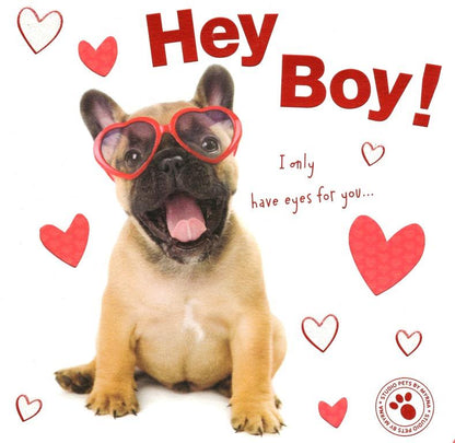 Hey Boy Cute Puppy Dog Valentine's Day Greeting Card