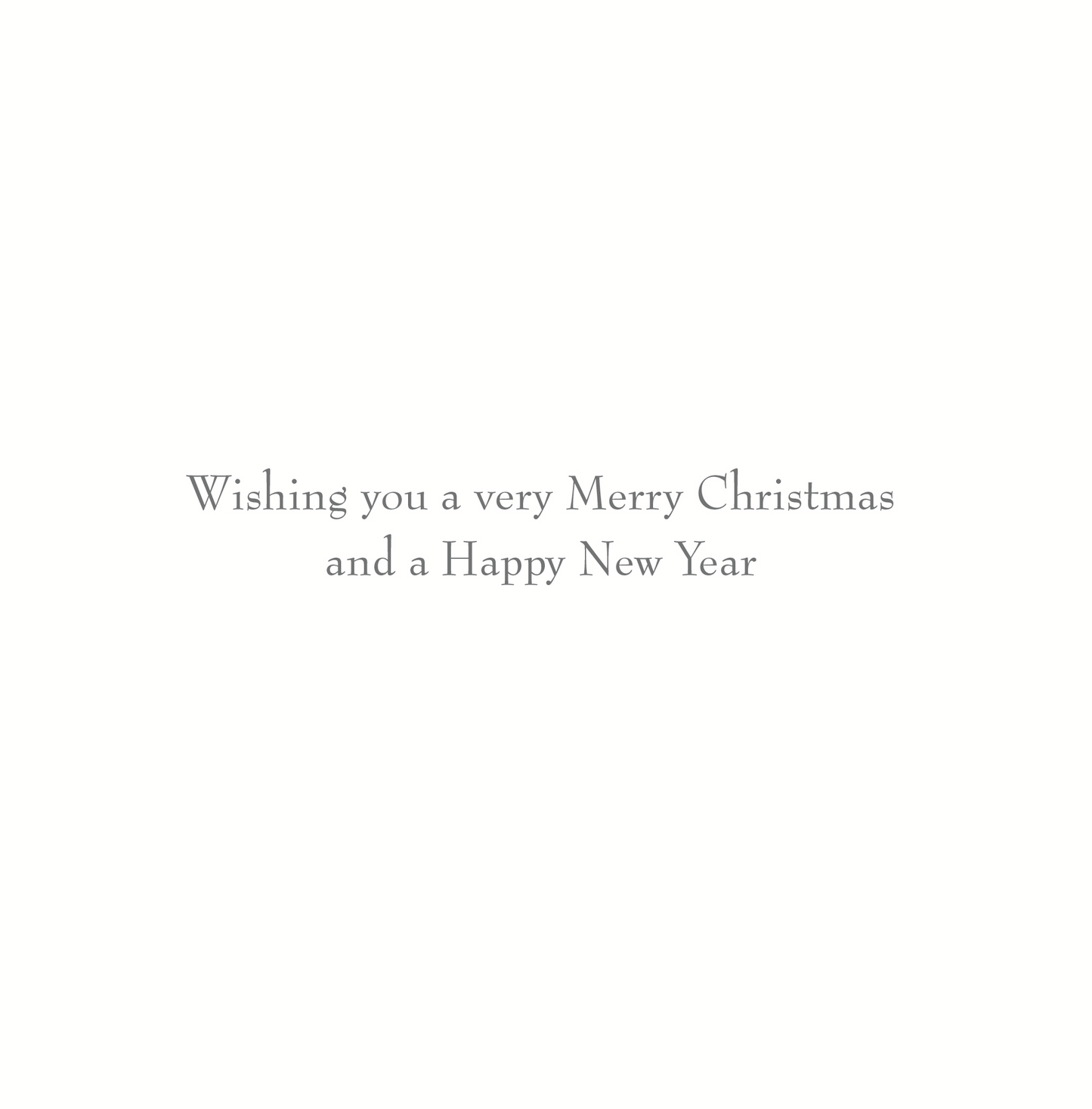 Lovely Grandma Snow Globe Season's Greetings Christmas Card