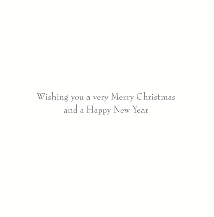 Lovely Grandma Snow Globe Season's Greetings Christmas Card