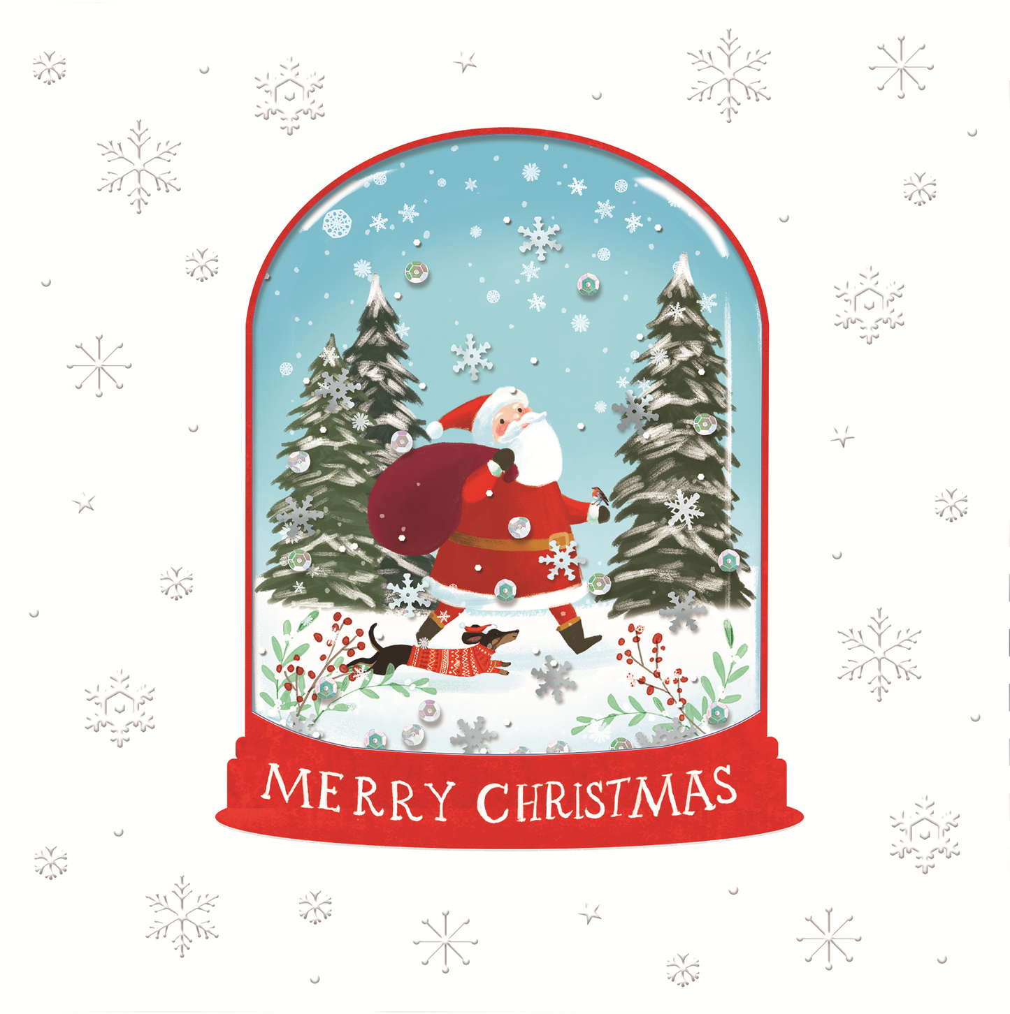 Box of 5 Snowglobe Style RSPCA Charity Christmas Cards