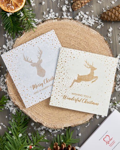 Box of 10 Stags British Heart Foundation Charity Christmas Cards