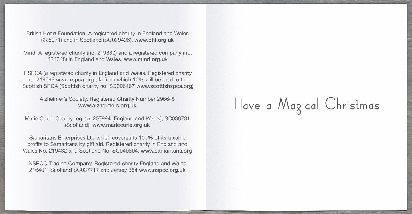 Box of 30 Assorted Mini Cartoon Multiple Charity Christmas Cards