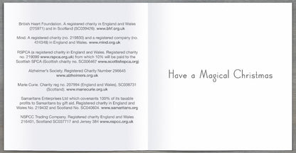 Box of 30 Assorted Mini Cartoon Multiple Charity Christmas Cards