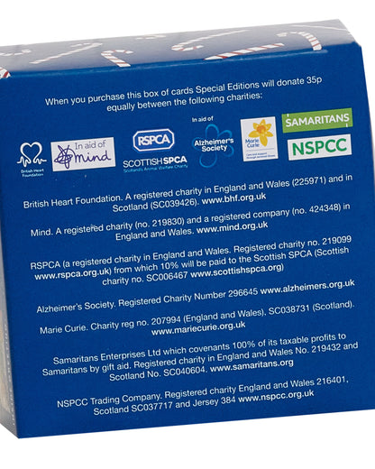 Box of 30 Assorted Mini Cartoon Multiple Charity Christmas Cards