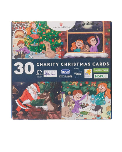 Box of 30 Assorted Mini Cartoon Multiple Charity Christmas Cards