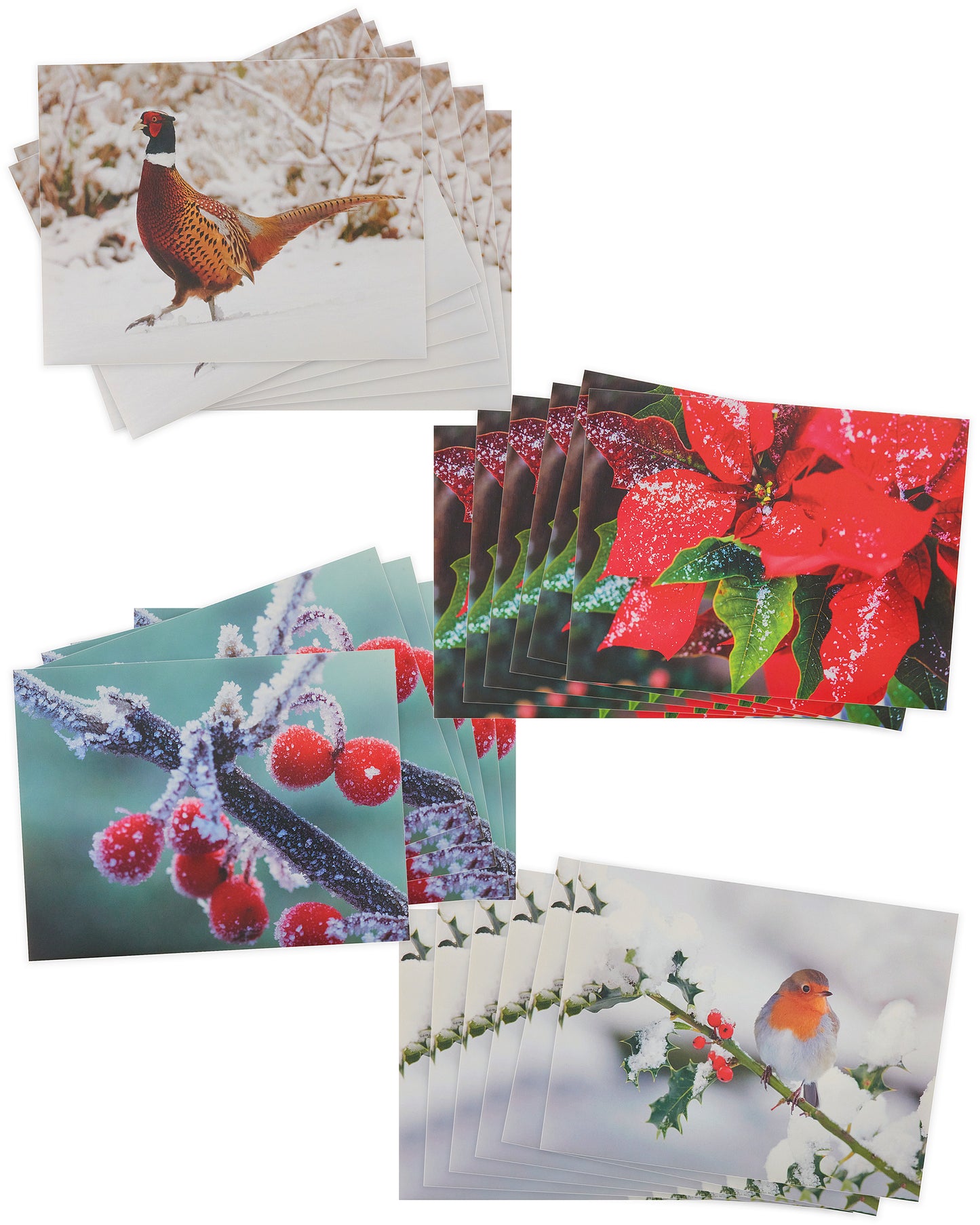 Box of 24 Assorted Photographic Multiple Charity Christmas Cards