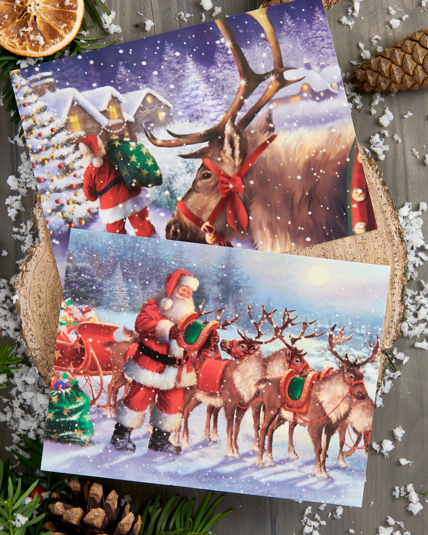 Box of 24 Assorted Festive Santa Multiple Charity Christmas Cards