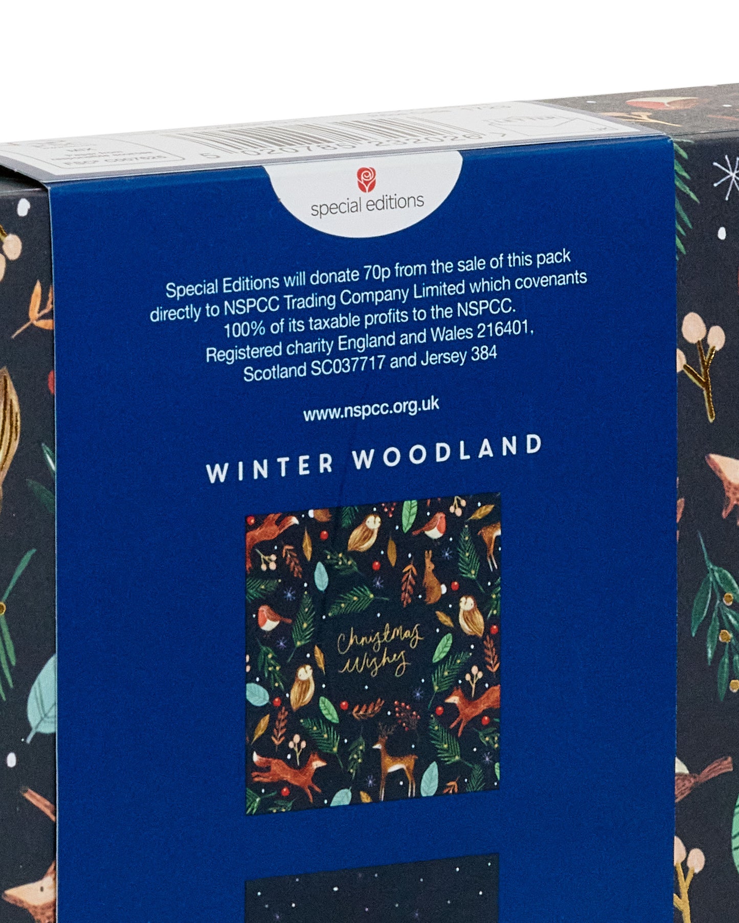 Box of 10 Winter Woodland Animals NSPCC Charity Christmas Cards