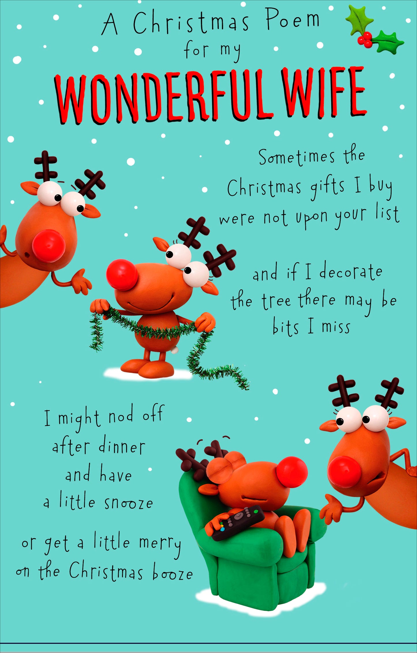 Poem For My Wonderful Wife Funny Christmas Greeting Card