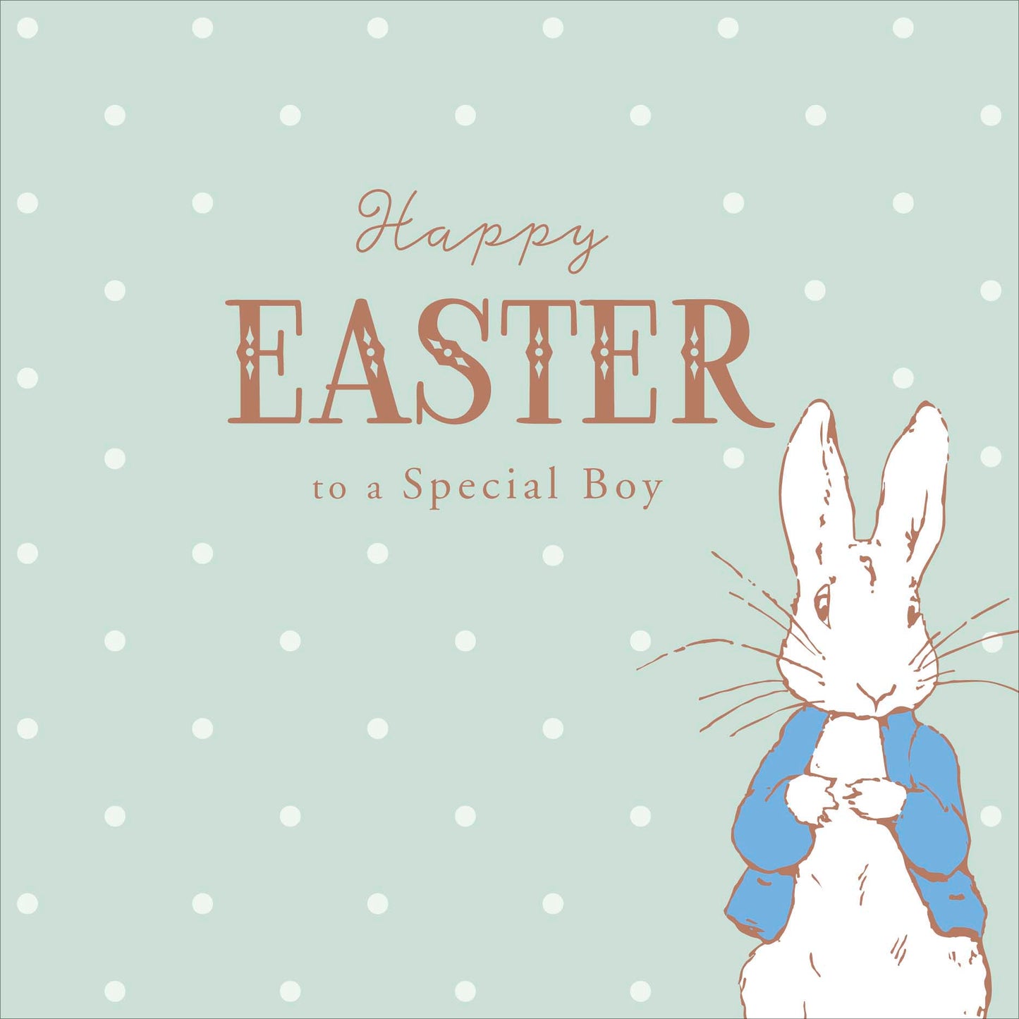 Peter Rabbit Special Boy Happy Easter Greeting Card