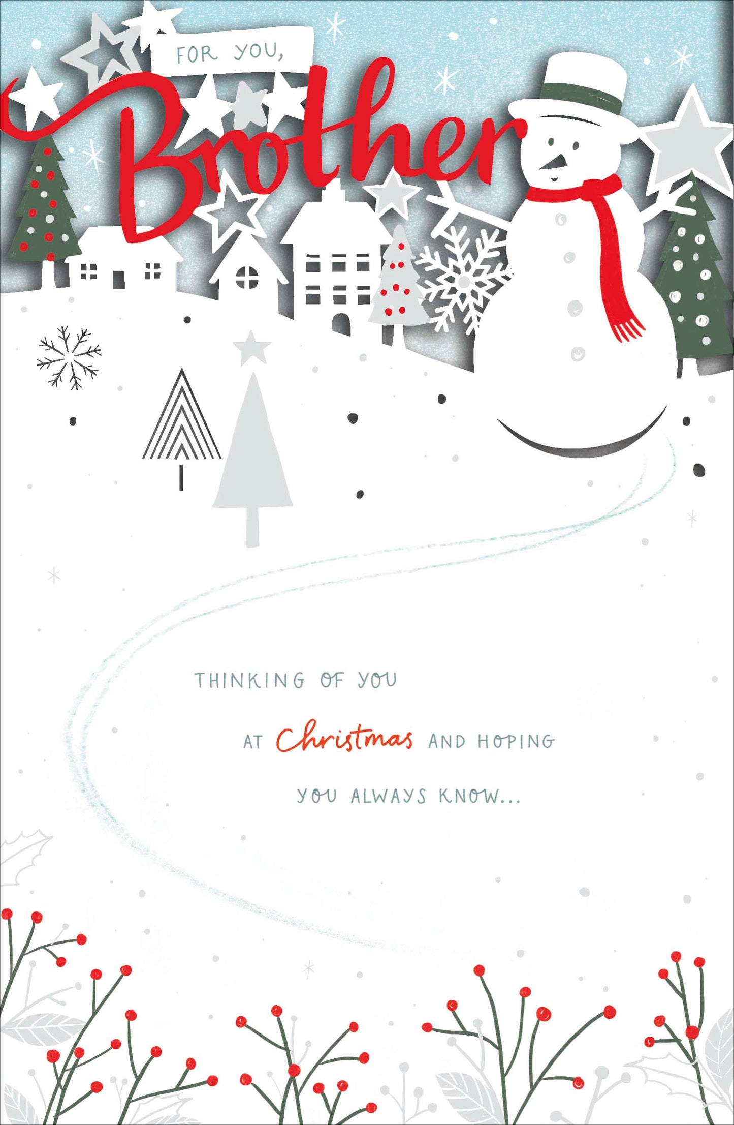 For You Nice Brother Traditional Christmas Greeting Card