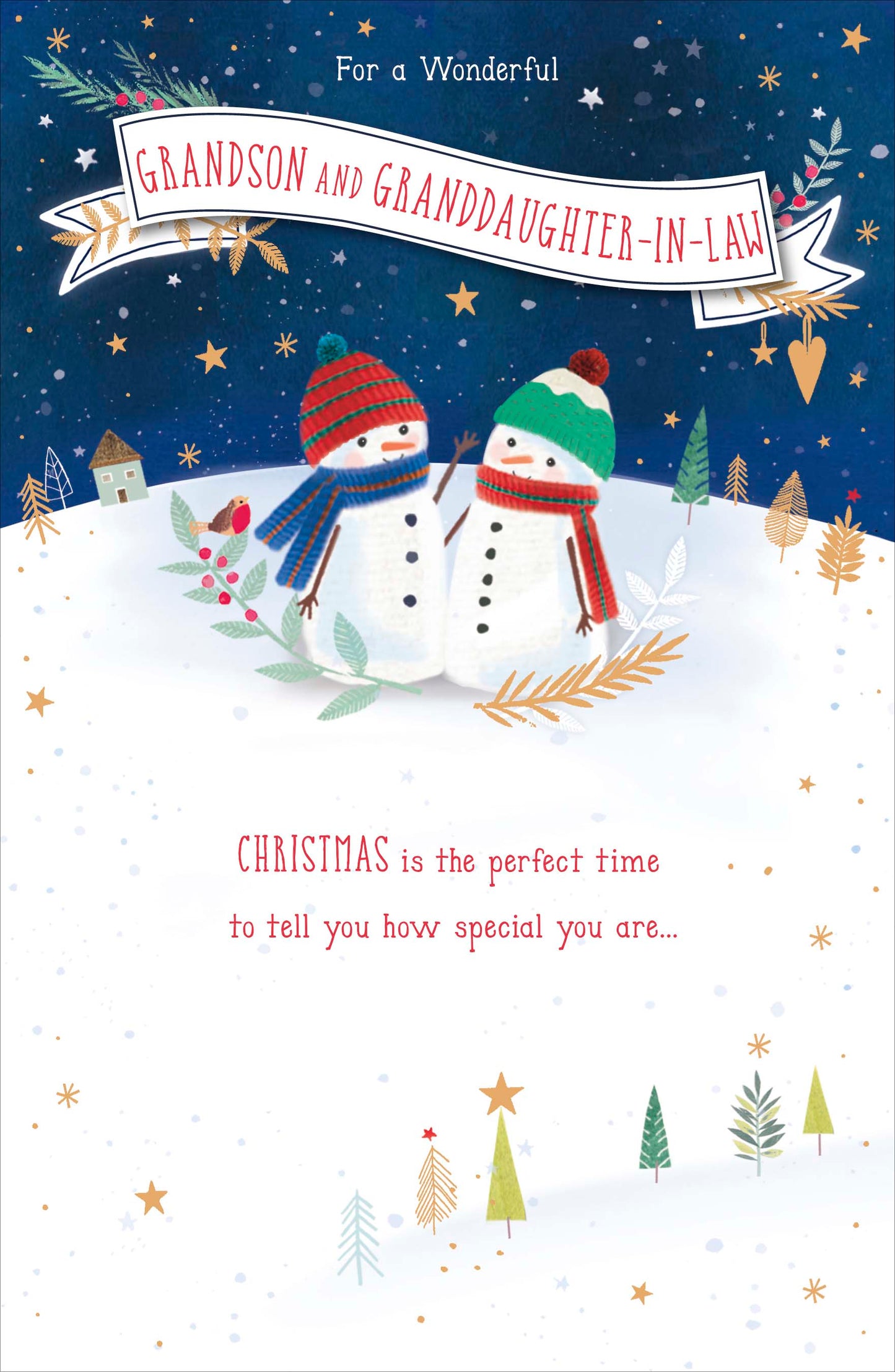 Grandson & ... Multi Caption Christmas Greeting Card With Stick On Captions