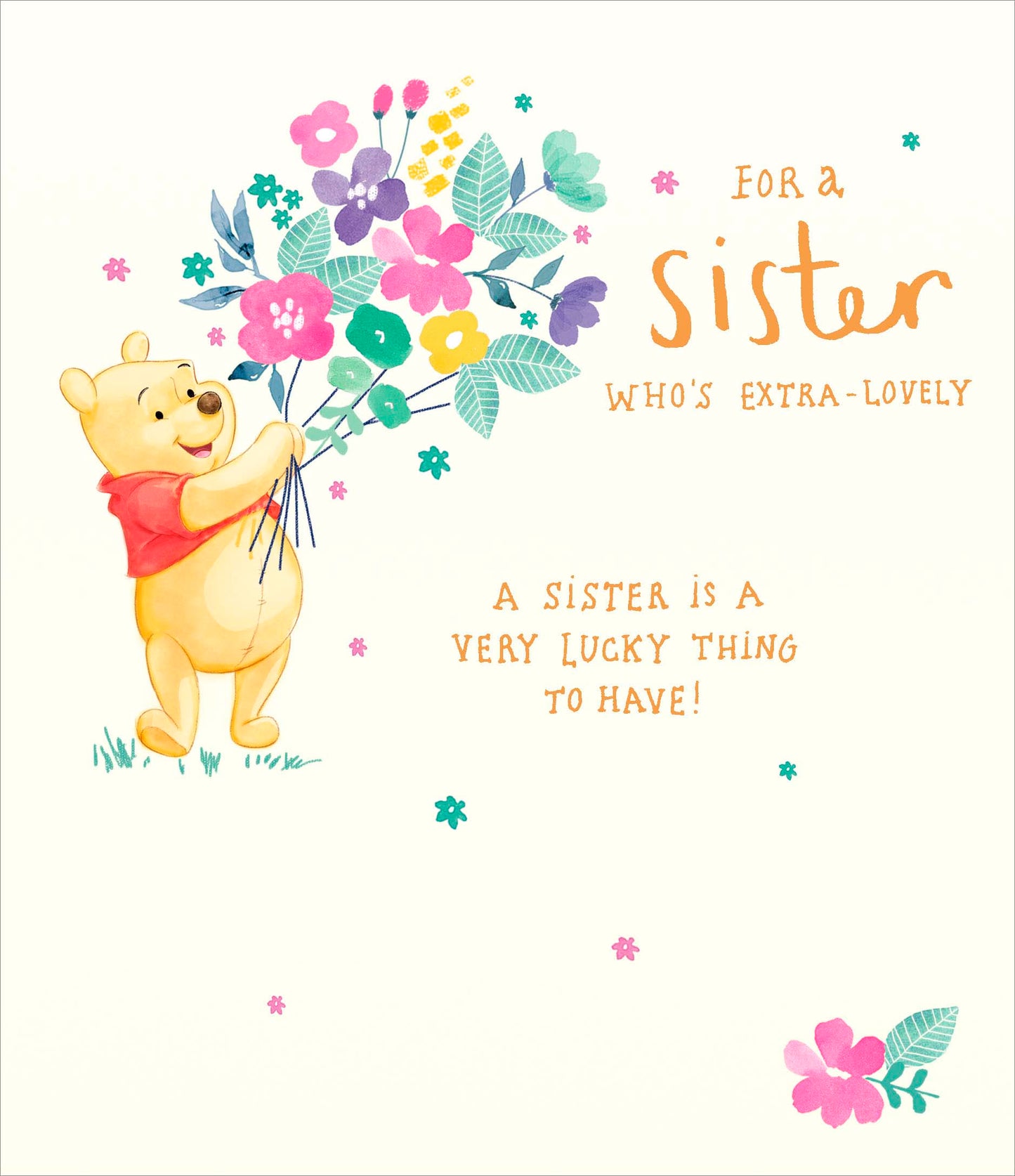 Disney Pooh Bear Extra-Lovely Sister Birthday Greeting Card