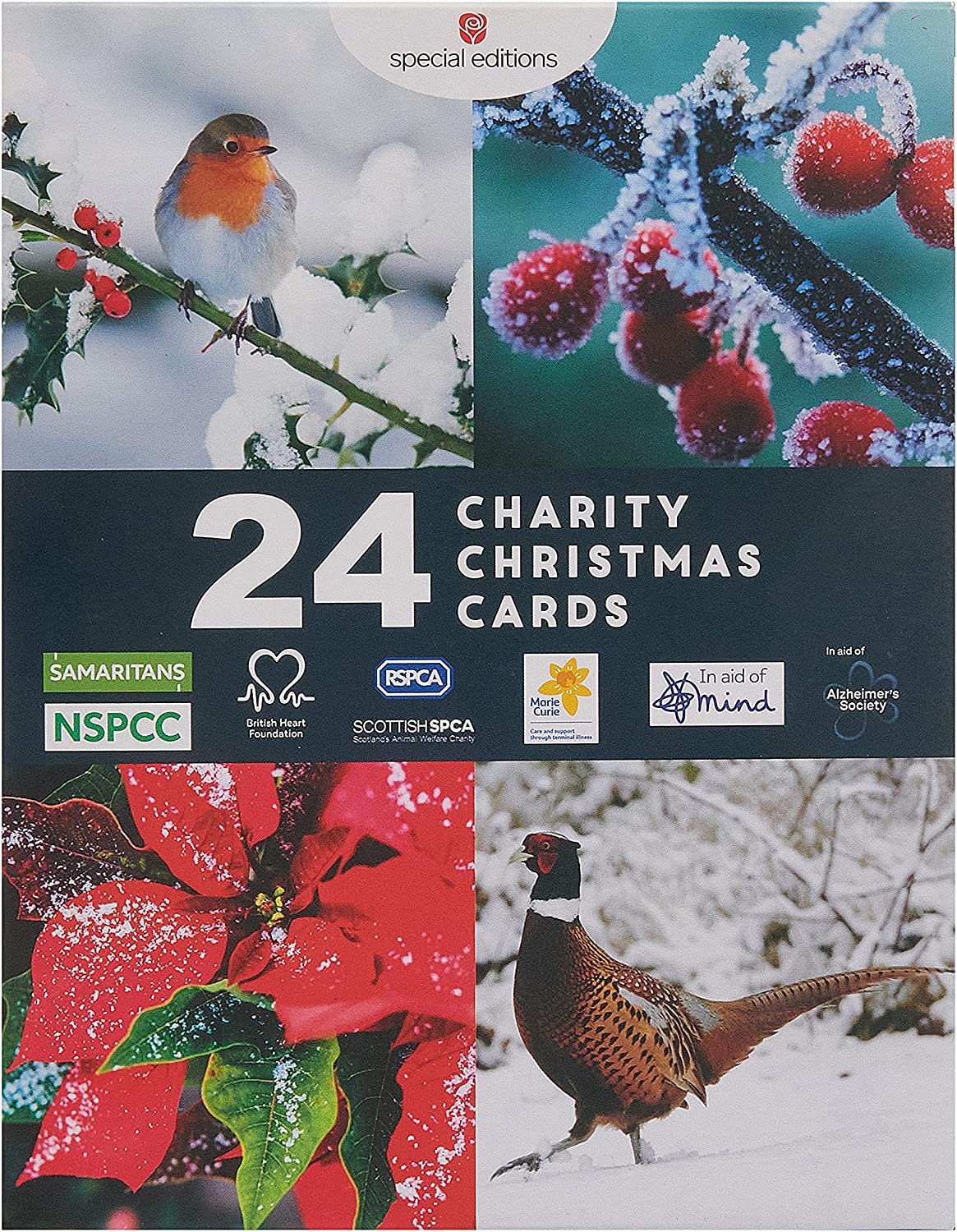 Box of 24 Assorted Photographic Multiple Charity Christmas Cards
