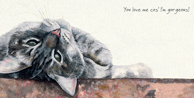 Love Me I'm Gorgeous Little Dog Laughed Greeting Card