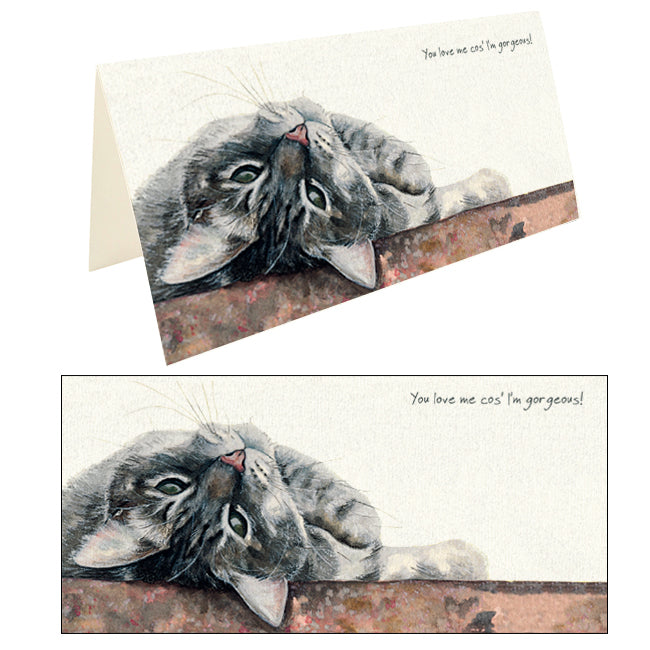 Love Me I'm Gorgeous Little Dog Laughed Greeting Card