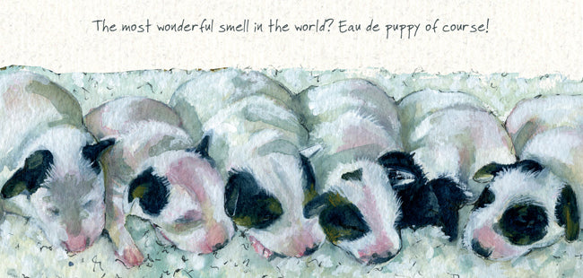Eau De Puppy Little Dog Laughed Greeting Card