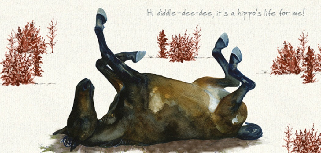 Horse Hippo's Life Little Dog Laughed Greeting Card