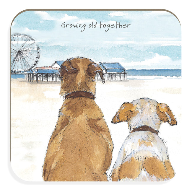 Growing Old Together Cute Old Dogs Little Dog Laughed Coaster