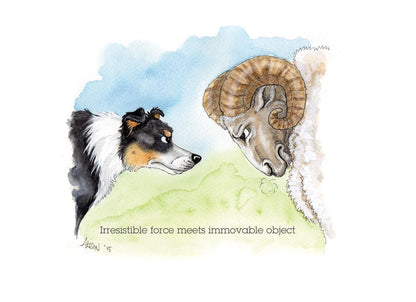 Collie Dogs Vs A Stubborn Ram Alison's Animals Cartoon Greeting Card