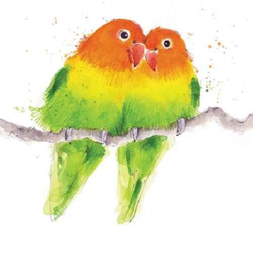 Love Birds Animal Magic Square Art Greeting Card Blank Inside