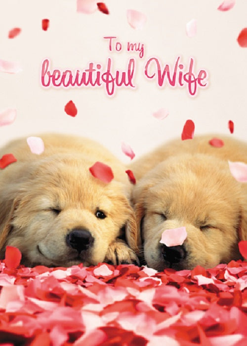 Avanti Beautiful Wife Cute Golden Retriever Valentine's Day Card