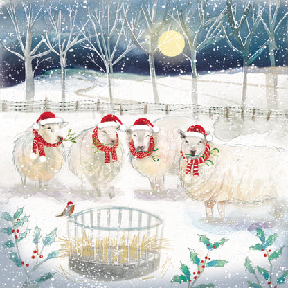 Pack of 8 Festive Sheep In Snow Charity Christmas Cards
