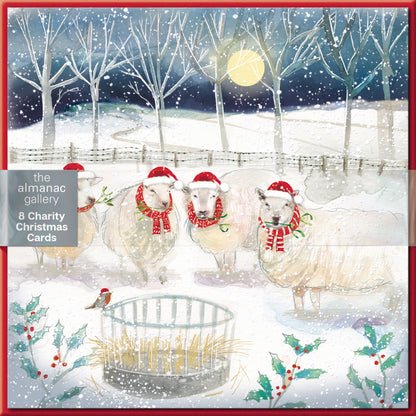 Pack of 8 Festive Sheep In Snow Charity Christmas Cards