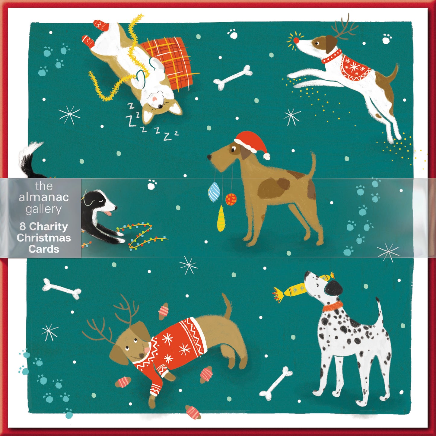 Pack of 8 Festive Christmas Dogs Charity Christmas Cards