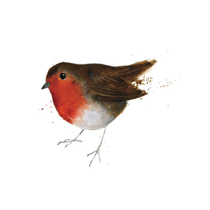 Pack of 8 Robin Red Breast Charity Christmas Cards