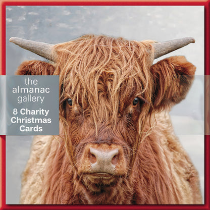 Pack of 8 Highland Cow Mini Charity Christmas Cards