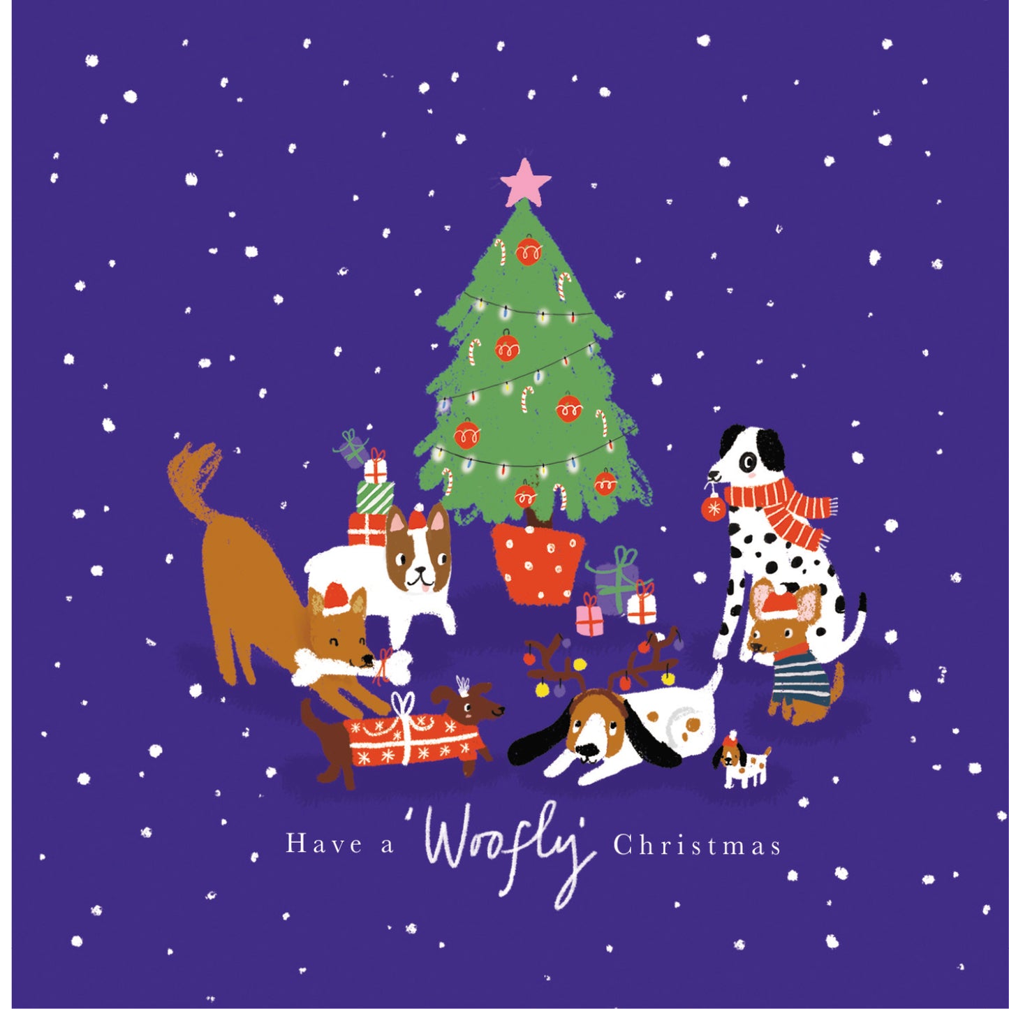 Box of 20 Cats Catmas & Dog Woofmas Fairdeal Charity Christmas Cards