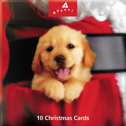 Box of 10 Festive Puppy Dogs Christmas Cards In 2 Designs