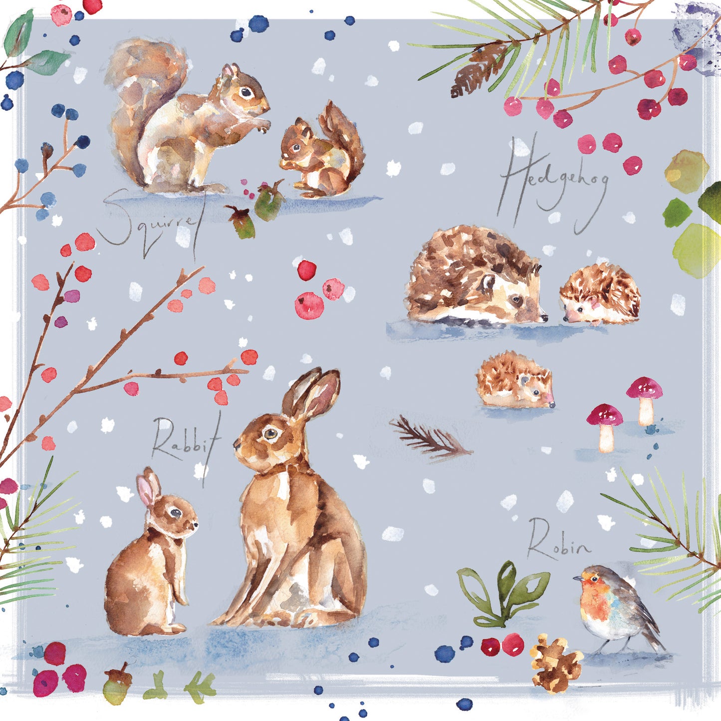 Box of 16 Jennifer Rose Wildlife Luxury Christmas Cards In 4 Designs