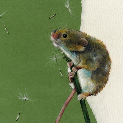 The Big Country Walk Collection Florence Fieldmouse Any Occasion Animal Art Greeting Card