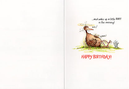 Birdwit Duck Out Of Work Swan Off To The Pub Funny Birthday Card